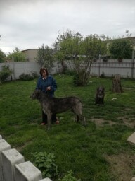 In the garden spring 2021